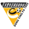 东营队